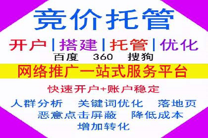 竞价广告投放技巧与案例分析